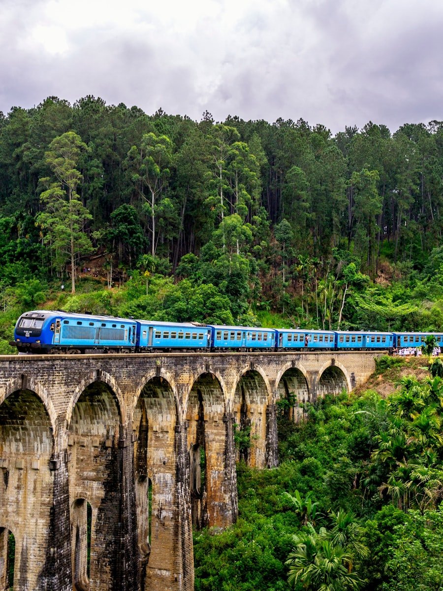 Tea terraces rolling through the highlands of Sri Lanka
